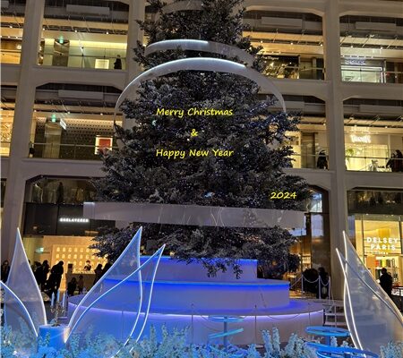 2024 Merry Christmas  &　Happy New Year