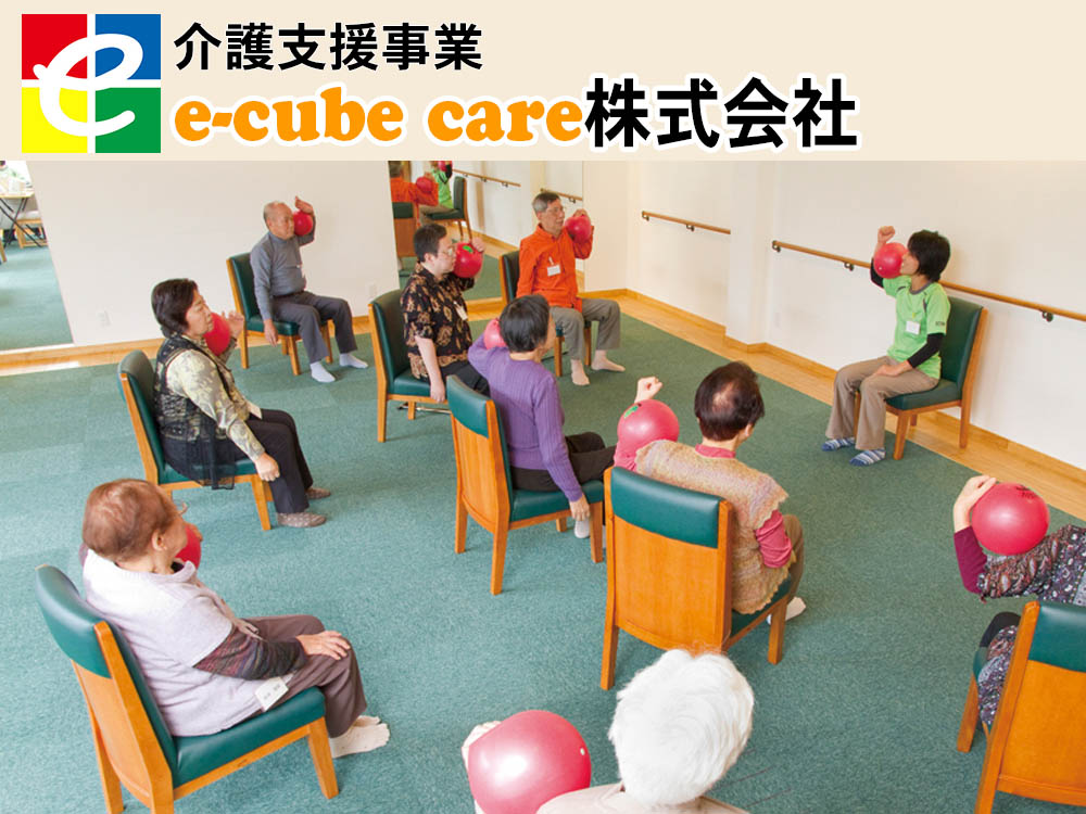 介護支援事業　e-cube care